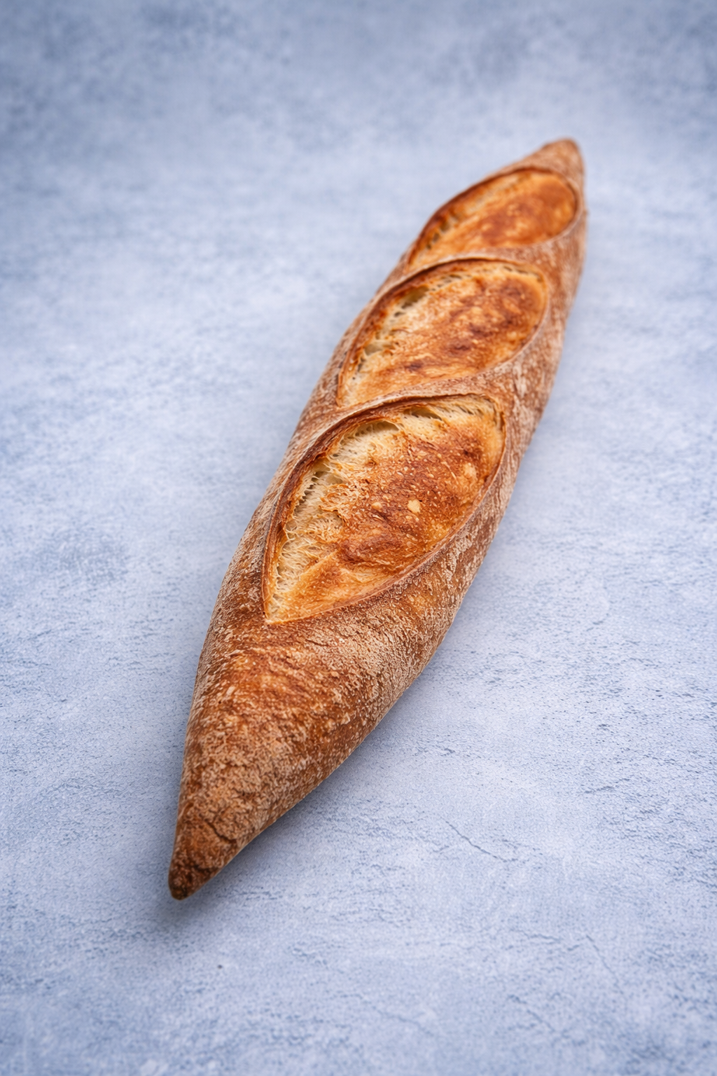 Sourdough Baguette